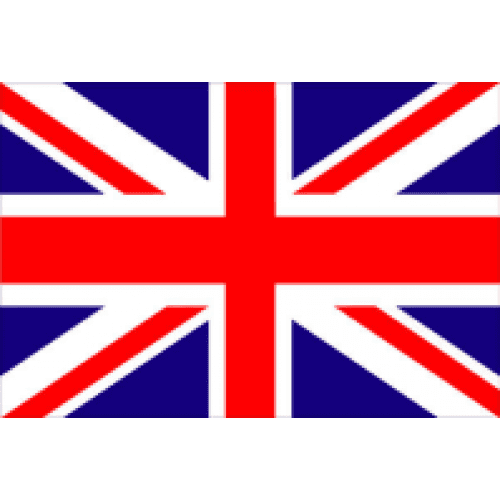 Language Flag